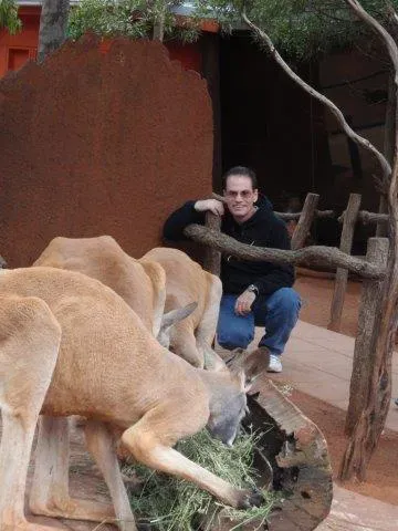 sydney kangaroo